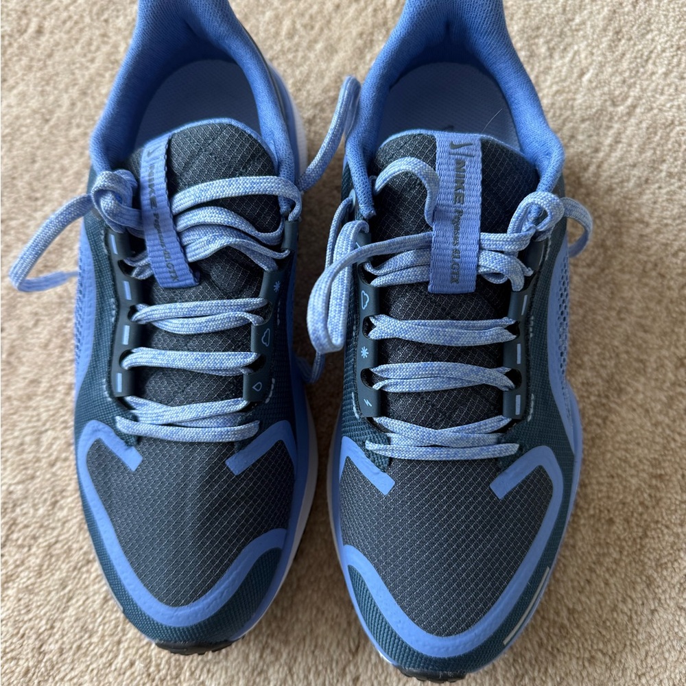 New Nike Pegasus Gortex Sneakers (Water proof)